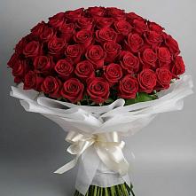 Букет 101 Красная роза Блэк Мэджик в Кильдинстрое