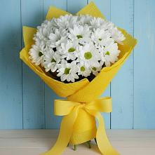 Букет цветов из:  Хризантемы в Кильдинстрое
