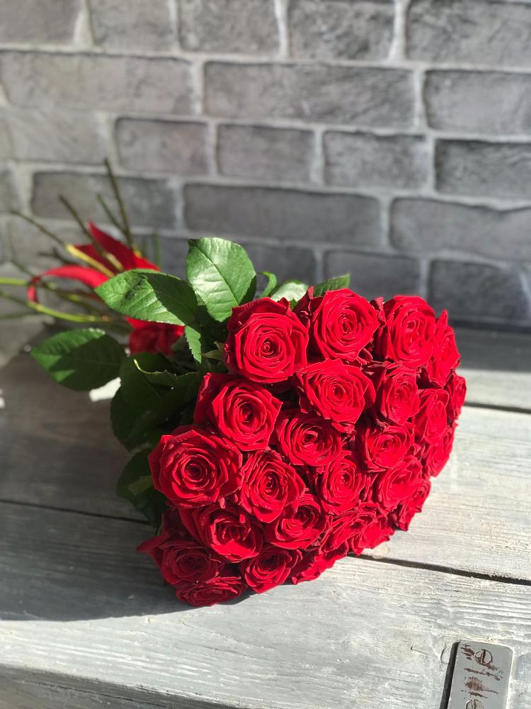 Букет Красные розы Фридом в Кильдинстрое