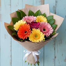 Букет цветов из:  Герберы в Кильдинстрое