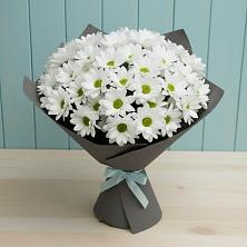 Букет цветов из:  Хризантемы в Кильдинстрое