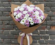 Букет цветов из:  Хризантемы в Кильдинстрое