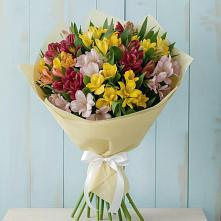 Букет цветов из:  Альстромерии в Кильдинстрое