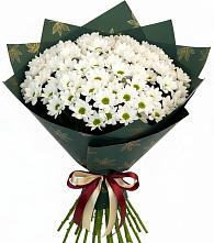 Букет цветов из:  Хризантемы в Кильдинстрое