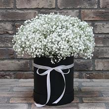 Цветочная композиция из Гипсофила в шляпной коробке #REPLACE_PRED# Кильдинстрое