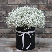Цветочная композиция из Гипсофила в шляпной коробке в Кильдинстрое