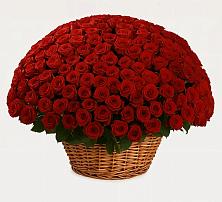 Премиум букет из: Розы в Кильдинстрое