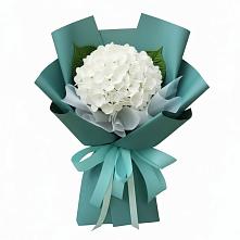 Букет цветов из:  Гортензия в Кильдинстрое